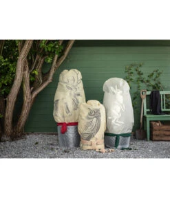 Dehner Pflanzen-Isolierfolie -Garten im Freien 6702765 3082997 WE MO 005 VlieshaubeHaseBeige