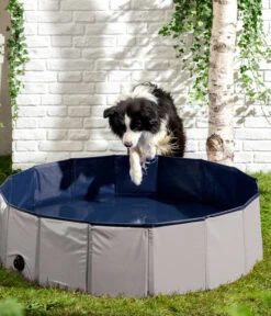 Dehner Lieblinge Hundepool Water Fun, Ca. Ø120/H30 Cm -Garten im Freien 6755532 WE MO 002 DehnerHundepoolWaterfun