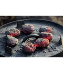 Petromax Dutch Oven -Garten im Freien 6770168 WE MO 001 GautzschPetromaxFeuertopf 6769277