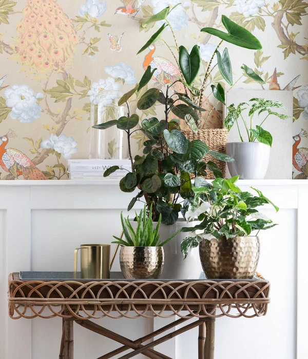 Dehner Metall-Übertopf Kody, Bauchig, Gold 4 Dehner Metall-Übertopf Kody, Bauchig, Gold – Bild 2