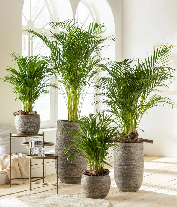 Dehner Keramik-Vase Lana, Bauchig, Braun 4 Dehner Keramik-Vase Lana, Bauchig, Braun – Bild 2