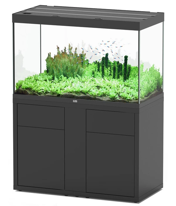 Aquatlantis Aquarium Kombination Sublime 435 3 Aquatlantis Aquarium Kombination Sublime 435