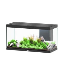 Aquatlantis Aquarium Volga 350