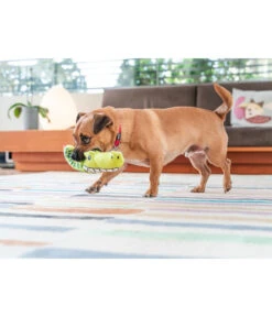 Red Dingo Hundespielzeug DURABLES Toys Krokodil -Garten im Freien 6912364 WE MO 002 RedDingoSpzKrokodil