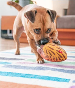 Red Dingo Hundespielzeug DURABLES Toys Nasenbär -Garten im Freien 6912471 WE MO 003 RedDingoSpzNasenbaer