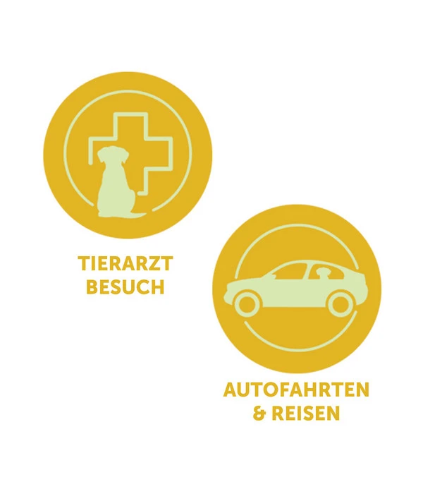 ADAPTIL® Transport Spray Für Hunde 8 ADAPTIL® Transport Spray Für Hunde – Bild 6