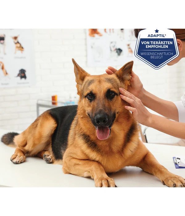 ADAPTIL® Transport Spray Für Hunde 4 ADAPTIL® Transport Spray Für Hunde – Bild 2