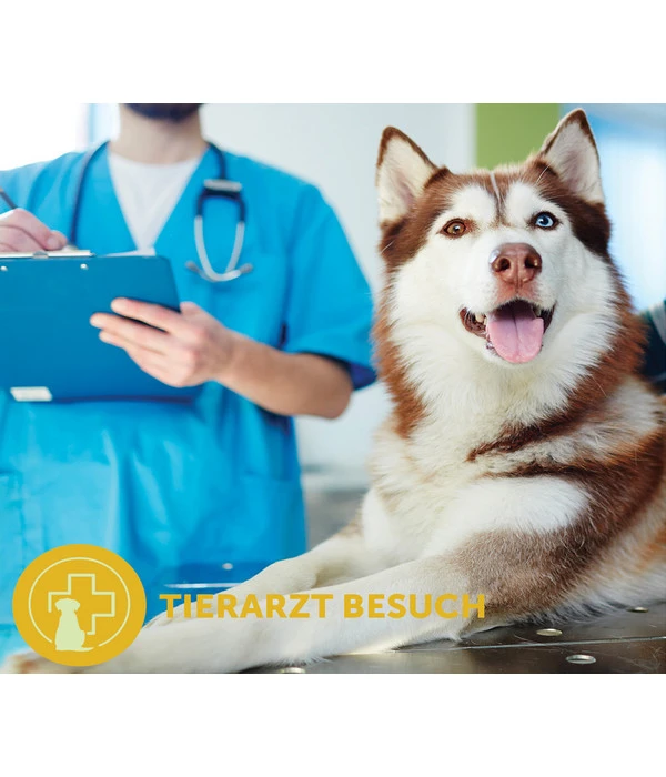 ADAPTIL® Transport Spray Für Hunde 5 ADAPTIL® Transport Spray Für Hunde – Bild 3