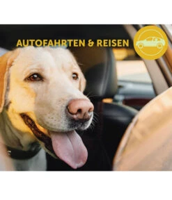 ADAPTIL® Transport Spray Für Hunde 11 ADAPTIL® Transport Spray Für Hunde -Garten im Freien 6914733 6914691 WE MO 003 AdaptilCalm TransportSpray