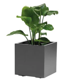 Kunststoff-Topf, Quadratisch, Ca. B40/H40/T40 Cm 7 Kunststoff-Topf, Quadratisch, Ca. B40/H40/T40 Cm -Garten im Freien 6935407 WE FS 002 PflanzenkuebelKebeGreener40cmAnthrazit