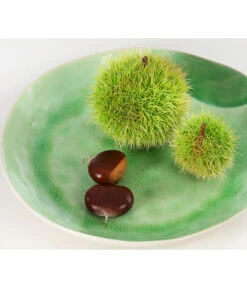 Esskastanie -Garten im Freien 7091580 PR DE 002 CastaneaSativaEsskastanieDehnerExpressHerzig