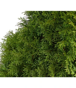 13 Meter Lebensbaum 'Smaragd', 40 X Ca. 100-125 Cm -Garten im Freien 7513534 WE DE 001 ThujaLebensbaumOccidentalisSmaragd20LDehnerExpressHerzig