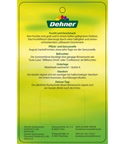 Sommerbirne 'Clapps Liebling' -Garten im Freien 7625494 SommerbirneClappsLiebling Etikett 2