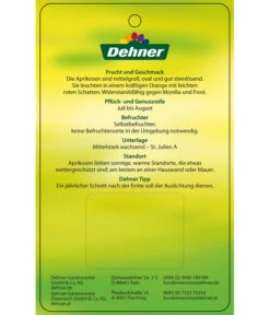 Aprikose 'Compacta' 9 Aprikose 'Compacta' -Garten im Freien 7626021 AprikoseCompacta Etikett 2