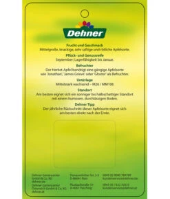 Herbstapfel 'Elstar' 13 Herbstapfel 'Elstar' -Garten im Freien 7639164 HerbstapfelElstar Etikett 2