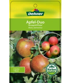 Apfel-Duo 'Jonagold'/'Elstar' -Garten im Freien 7639248 Apfel DuoJonagoldElstar Etikett 1
