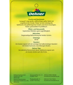 Apfel-Duo 'Jonagold'/'Elstar' -Garten im Freien 7639248 Apfel DuoJonagoldElstar Etikett 2