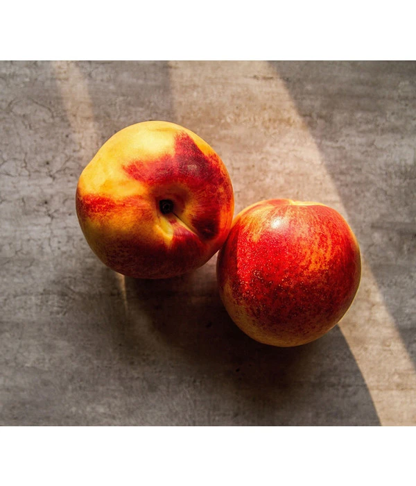 Nektarine, Verschiedene Sorten 3 Nektarine, Verschiedene Sorten