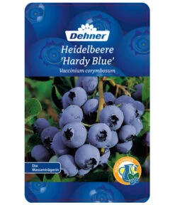 Heidelbeere 'Hardyblue' 8 Heidelbeere 'Hardyblue' -Garten im Freien 7665490 HeidelbeereHardyblue Etikett 1