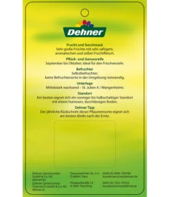 Dehner Pflaume 'Königin Viktoria' -Garten im Freien 7702558 PflaumeKoeniginVictoria Etikett 2