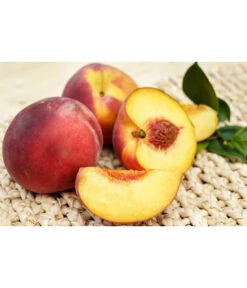 Gelbfleischiger Pfirsich 11 Gelbfleischiger Pfirsich -Garten im Freien 7728843 PR FS 001 GelbfleischigerPfirsichPixabay