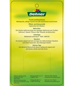 Herbstapfel 'Rebella' 11 Herbstapfel 'Rebella' -Garten im Freien 7737075 HerbstapfelRebella Etikett 2