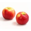 Allergikerapfel 'Santana' -Garten im Freien 7750631 WE DE 003 ApfelSantanaDehnerExpressHerzig