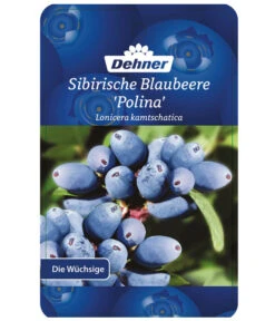 Maibeere -Garten im Freien 7756448 SibirischeBlaubeerePolina Etikett 1