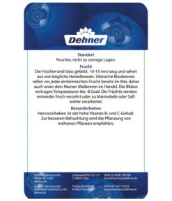 Maibeere -Garten im Freien 7756448 SibirischeBlaubeerePolina Etikett 2