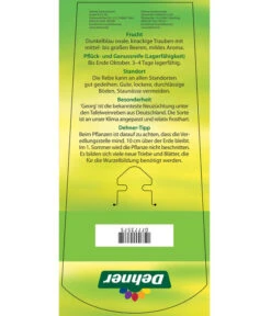 Tafeltraube 'Georg' 11 Tafeltraube 'Georg' -Garten im Freien 7773575 TafeltraubeGeorg Etikett 2