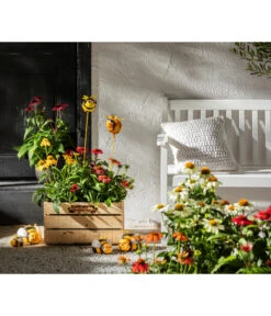 Sonnenhut 8 Sonnenhut -Garten im Freien 8012619 WE MO 001 EchinaceaPurpurea3LSonnenhutThemaBieneEchinaceamitPeople GC10 2020 01