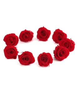 Longlife-Rose, Ca. Ø3 Cm