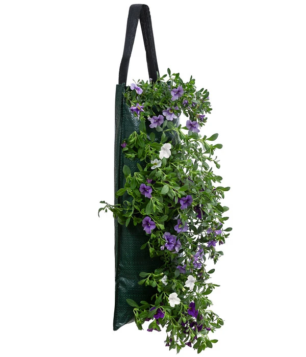 Wandhänger Mit Minihängepetunien-Trio, Verschiedene Farben 4 Wandhänger Mit Minihängepetunien-Trio, Verschiedene Farben – Bild 2