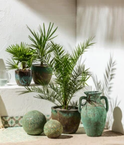 Garten im Freien -Garten im Freien 8608838 8607905 WE MO 001 Palmen