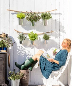 Dehner Gourmet Garten Strauchbasilikum 'Magic Blue' -Garten im Freien 8610123 WE MO 001 Oregano Kraeuter