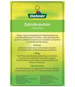 Zylinderputzer, Busch -Garten im Freien 8620429 CallistemonEtikett2