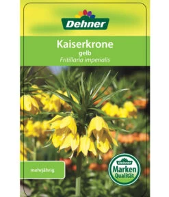 Kaiserkrone -Garten im Freien 8664674 KaiserkroneLutea Etikett 01