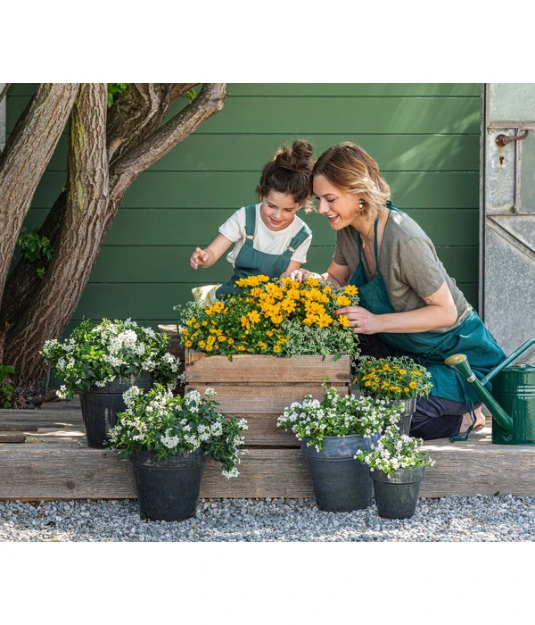 ESSCHERT DESIGN Esschert Zinkgießkanne, 7,5 L – Bild 2