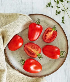 Bioland Eiertomate -Garten im Freien 8831463 WE MO 001 BiolandEiertomate