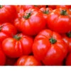 Bioland Fleischtomate 2 Bioland Fleischtomate -Garten im Freien 8842627 WE DE 001 BiolandFleischtomate