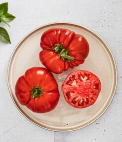 Bioland Fleischtomate 9 Bioland Fleischtomate -Garten im Freien 8842627 WE MO 001 BiolandFleischtomate