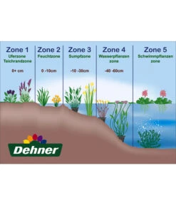 Dehner Wasserpflanzen-Arrangement 9 Dehner Wasserpflanzen-Arrangement -Garten im Freien WE DE 001 Teichzonen Wasserpflanzen Schild 4