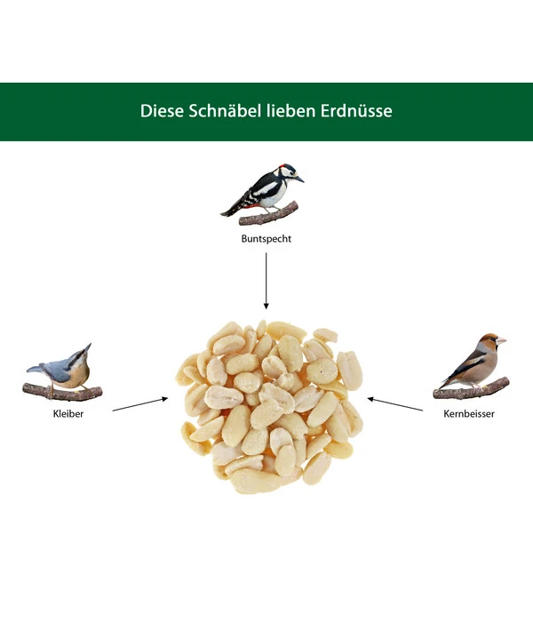 Dehner Natura Wildvogefutter Halbe/Ganze Erdnüsse, 5 L 5 Dehner Natura Wildvogefutter Halbe/Ganze Erdnüsse, 5 L – Bild 3