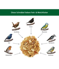 Dehner Natura Fett- Und Weichfutter -Garten im Freien WE IG 001 DehnerNaturaWelcherVogelfrisstFettWeichfutter