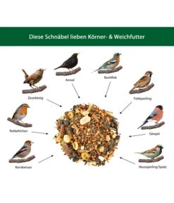 Dehner Natura Körner- Und Weichfutter -Garten im Freien WE IG 001 DehnerNaturaWelcherVogelfrisstKoernerWeichfutter