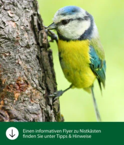 Dehner Natura Nistkasten Hera, Ca. B19/H26/T19 Cm -Garten im Freien WE IG FlyergrafikDehnerNaturaNistkaesten 1