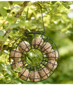 Dehner Natura Befüllter Meisenknödelring 13 Dehner Natura Befüllter Meisenknödelring -Garten im Freien X005458310 BildFS 002 DehnerNaturaMeisenknoedelringFruehling