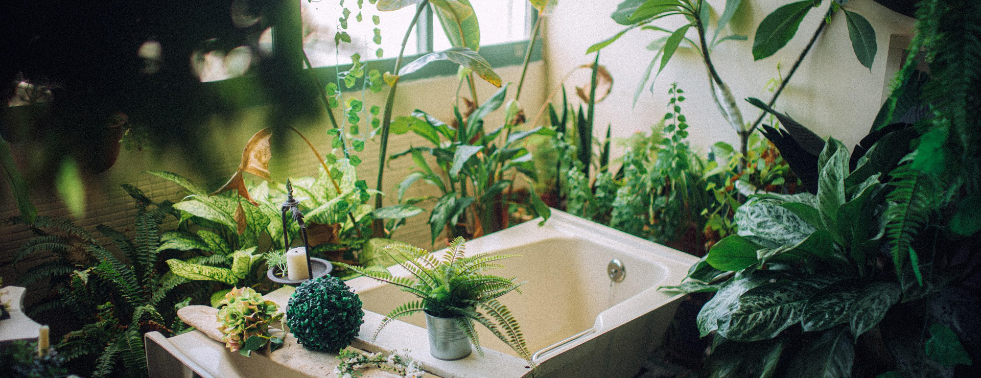 Garten im Freien -Garten im Freien plant 7498330 1920